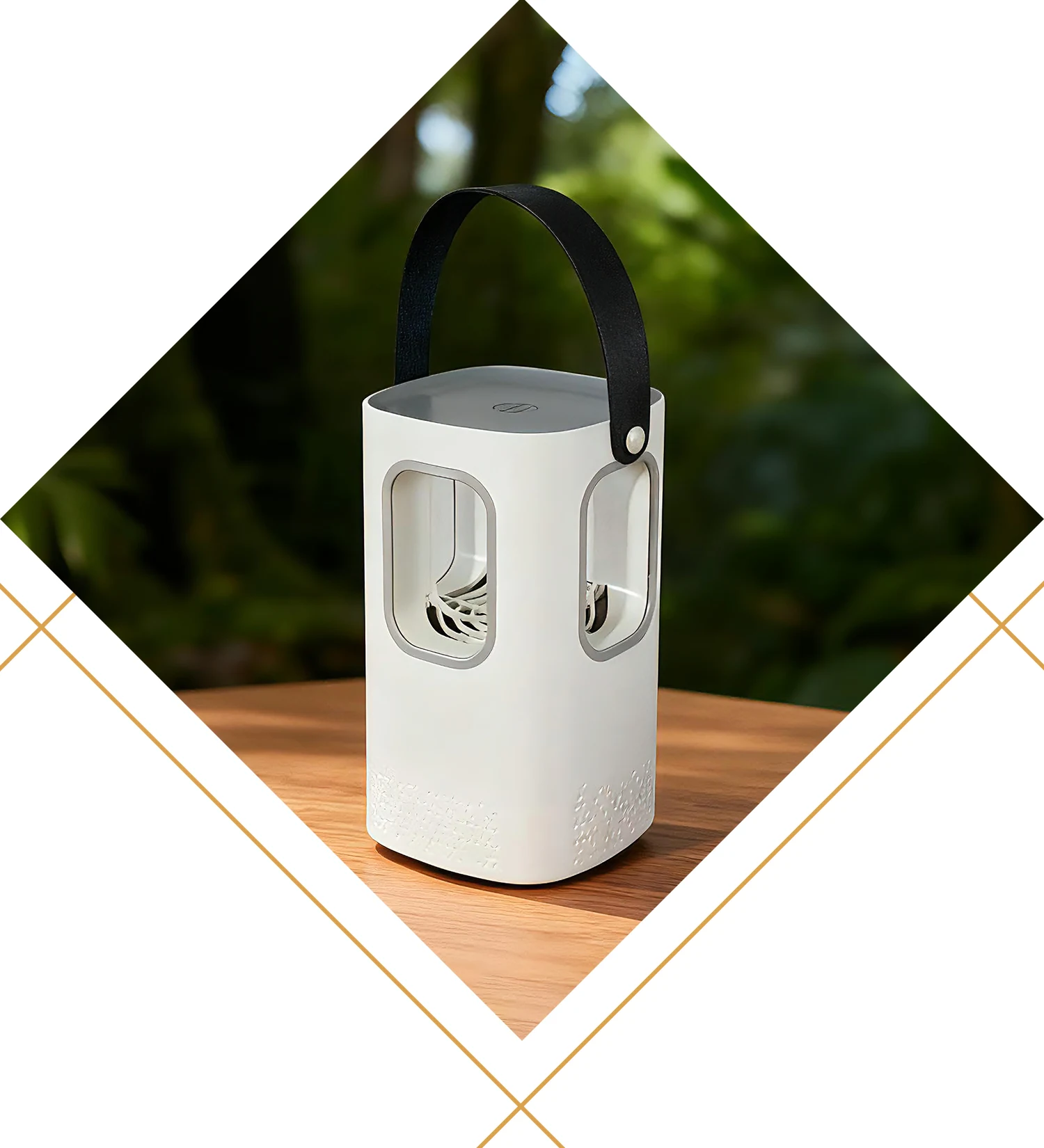 Assassino di zanzare